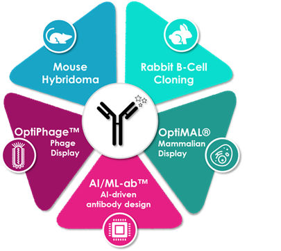 Antibody Discovery laboratory