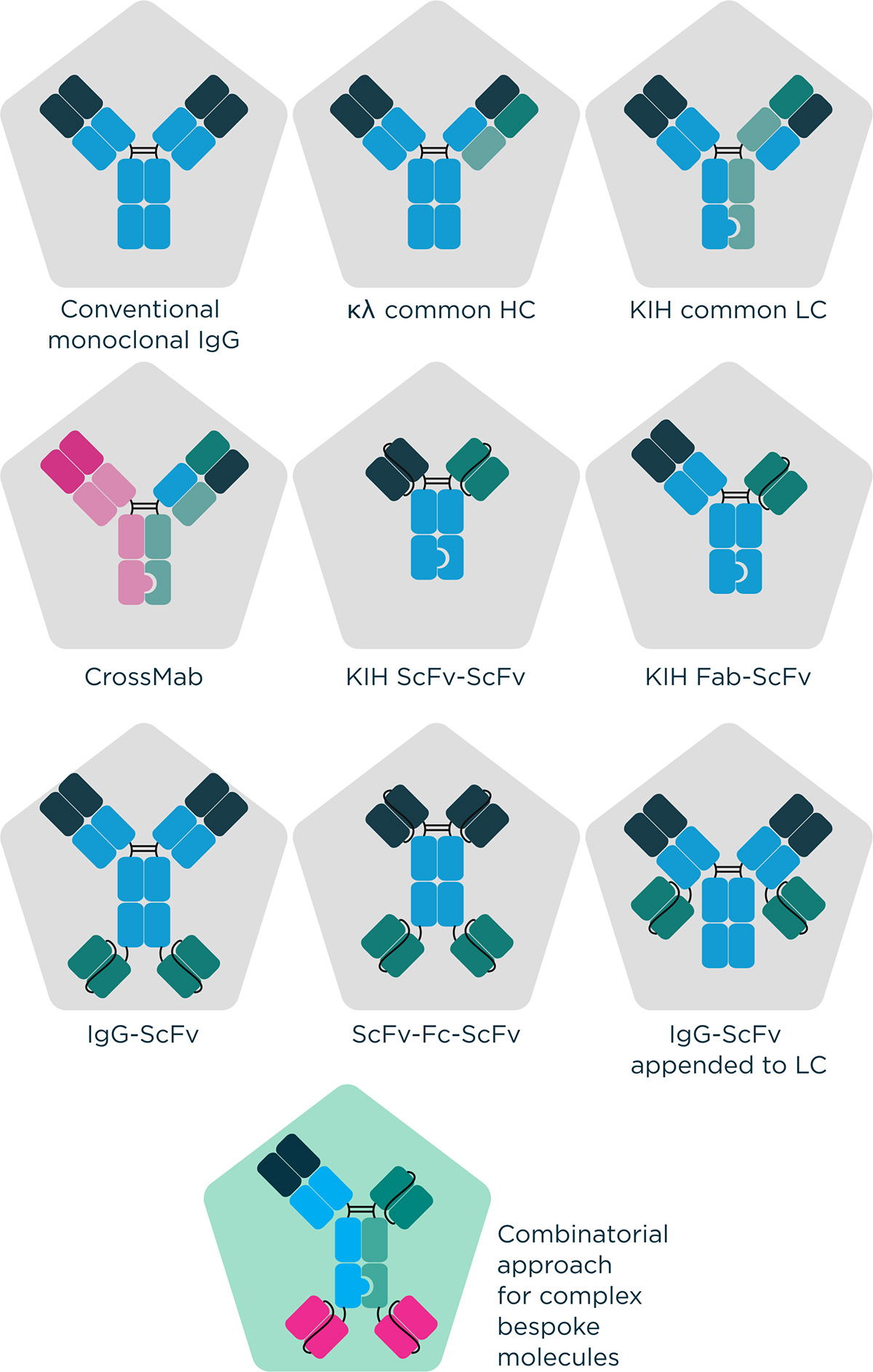 Fusion scientist working on What Are Bispecific Antibodies, and Why Do They Matter?