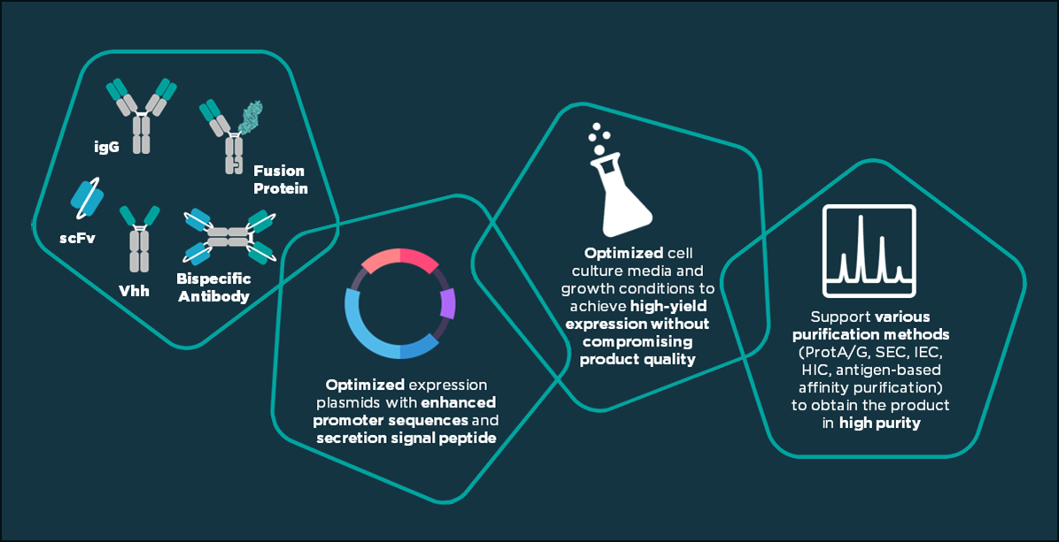 Fusion scientist working on Mammalian Transient Protein Expression