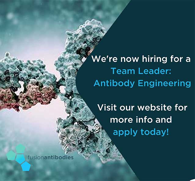 Fusion scientist working on Antibody Engineering