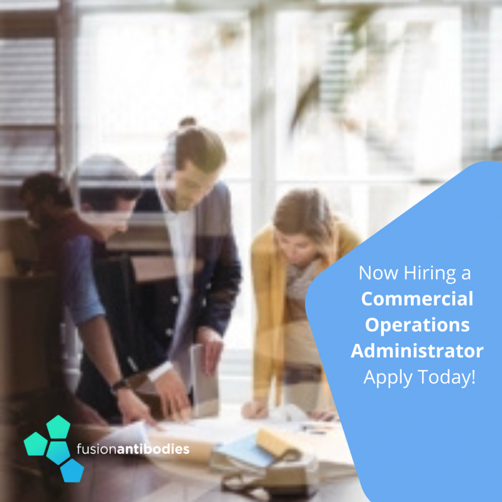 Commercial Operations Administrator featured image