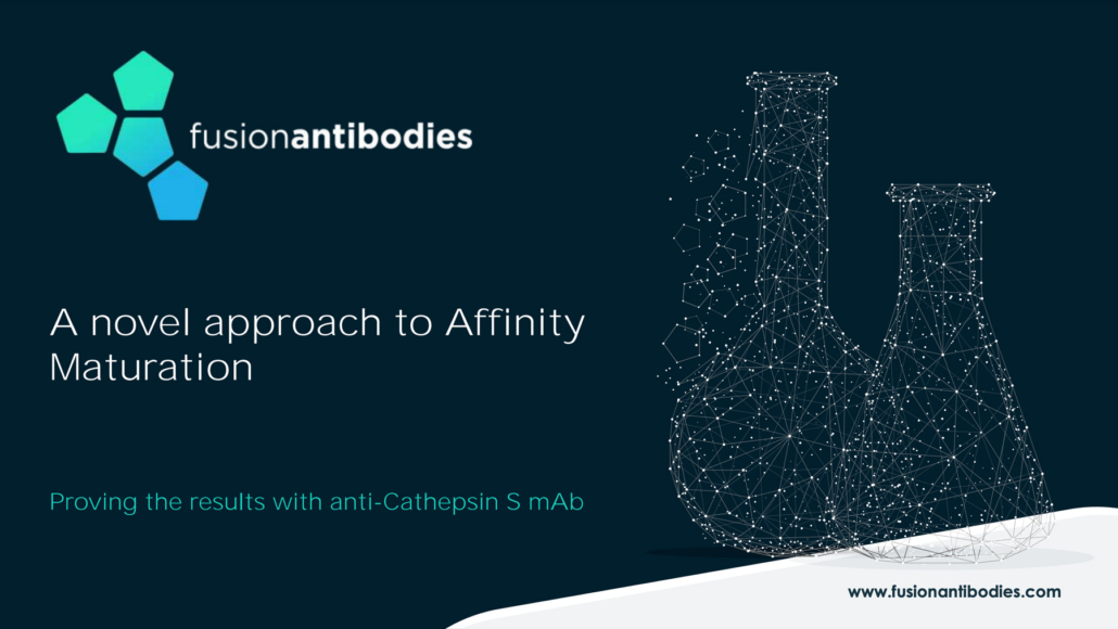 A Novel Approach to Affinity Maturation featured image