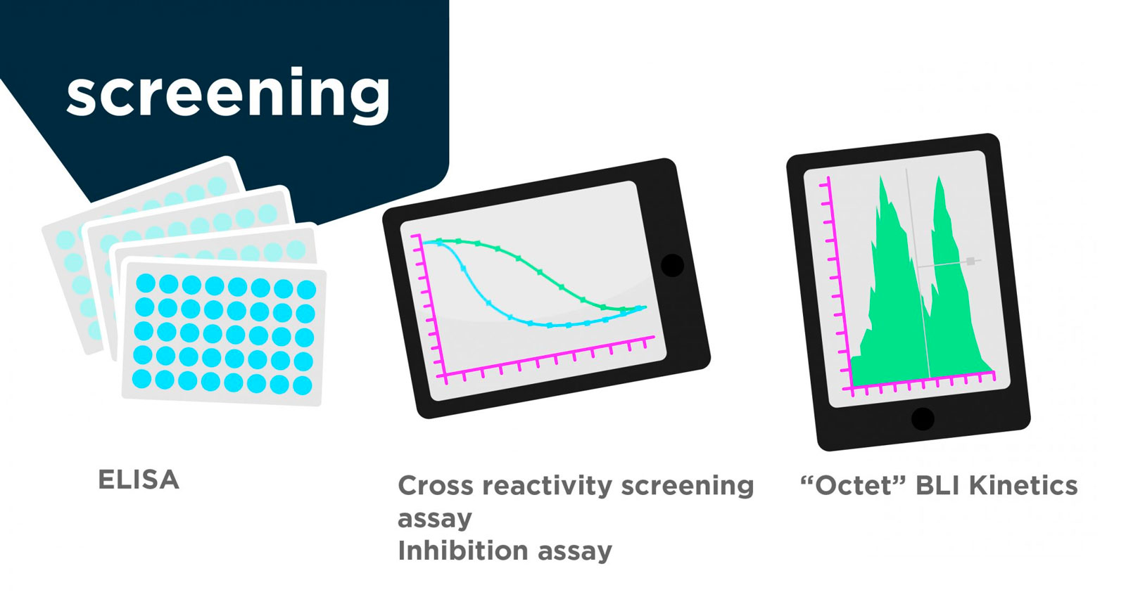 Fusion scientist working on OptiPhage® Next-Gen Phage Display Library
