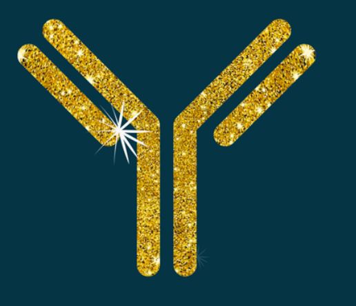 Fusion scientist working on Antibody Supply