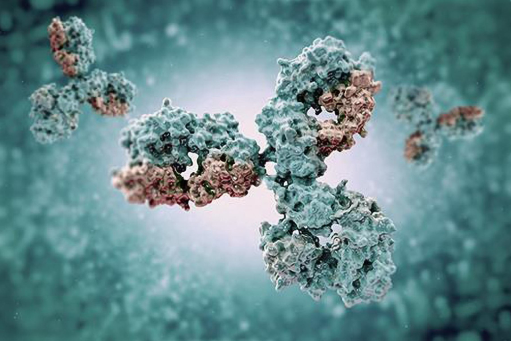 Humanized Antibody JF5 detects Aspergillus featured image