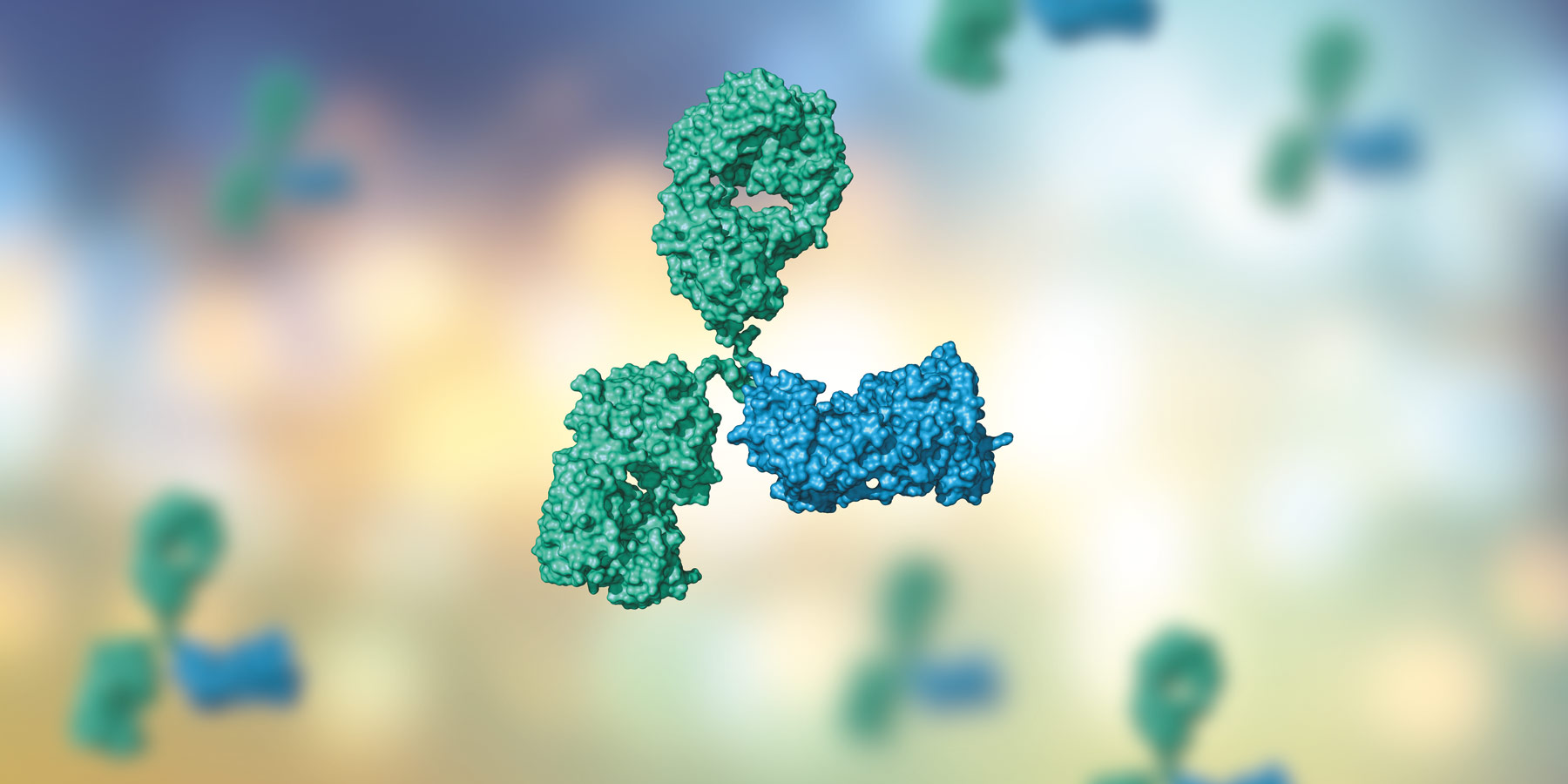 Fusion scientist working on Fc Engineering for Function, Stability, and Clinical Success