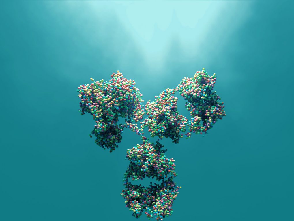 Fusion scientist working on Antibody Characterization